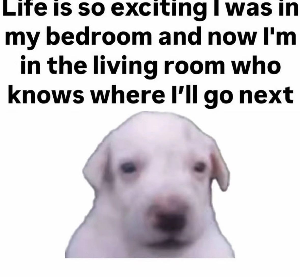 ***
