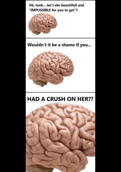 Scumbag brain