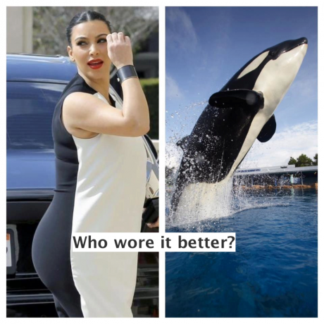 Of course the original whale is better, the one in the nature:Left one!