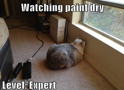 My number one hobby...