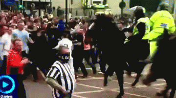 Have you ever been so mad that you punched a horse?