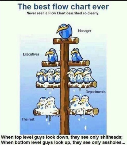 The best Chart