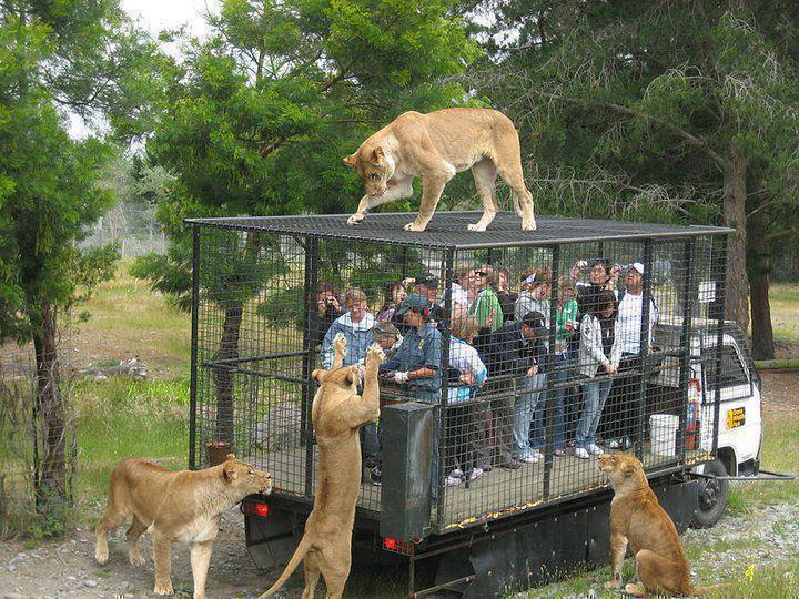 Zoo, the other side.......