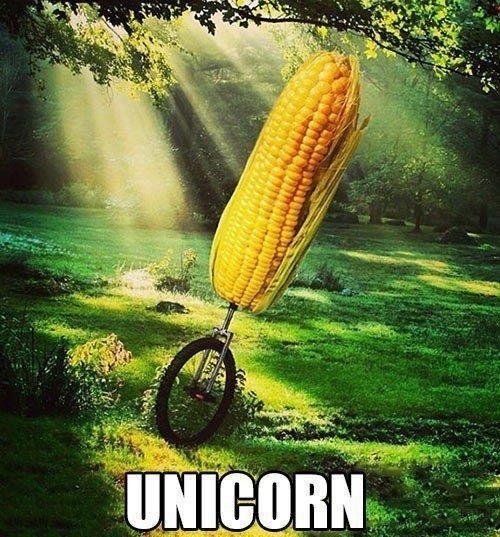 Unicorn