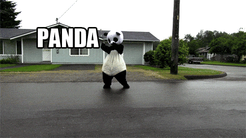 Everyone loves panda