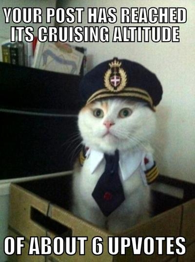 Captain Cat Reporting in, sir!