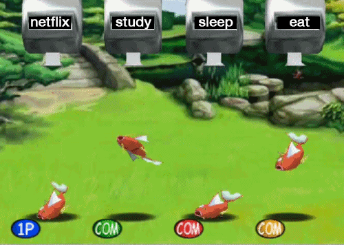 How I mostly spend my time