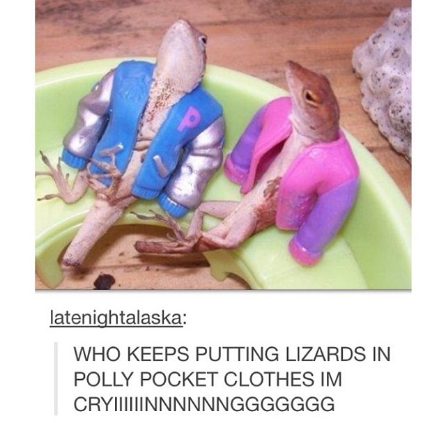 Lizards in clothes