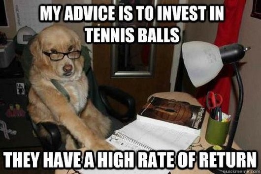 Some advice from dog