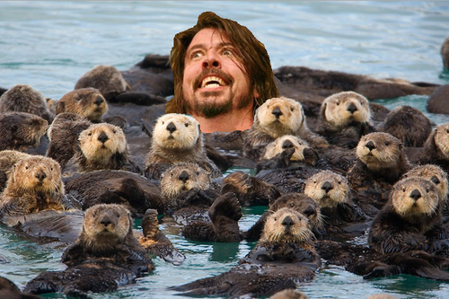 WHAT IF l SAY I?M NOT LIKE THE OTTERS