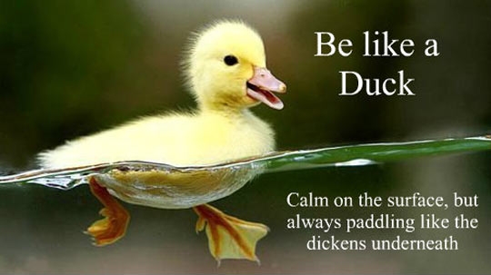 Be like a duck
