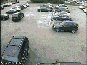 Dem parking skills. I wish I was such a talented driver