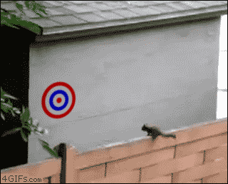 Bullseye.