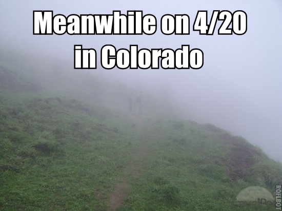 April 20th (International Marijuana day)