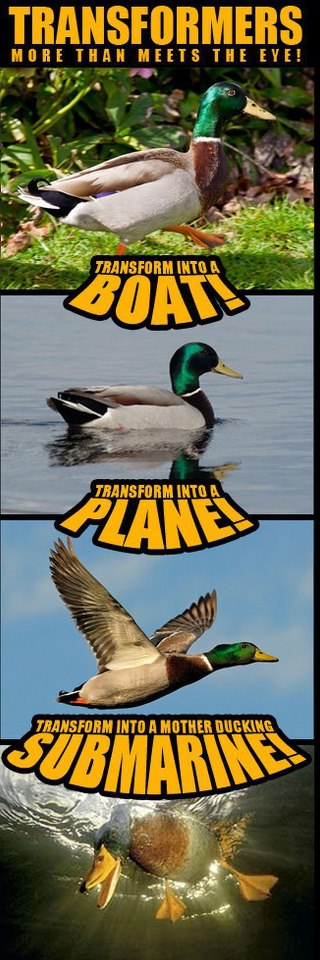 Duck transformers!