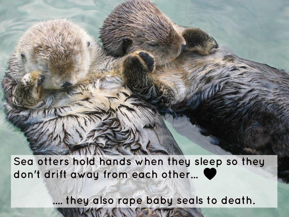 They also rape seals