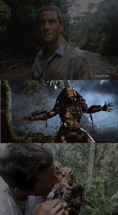Just Bear Grylls