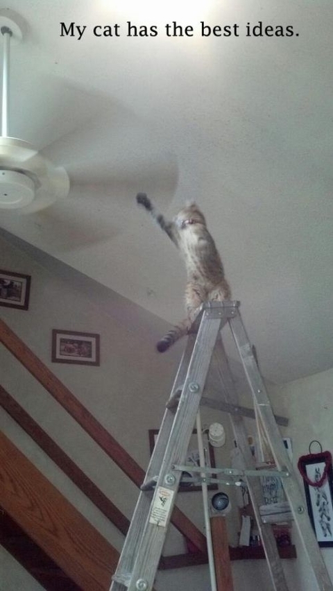 Regret in 3...2...1....