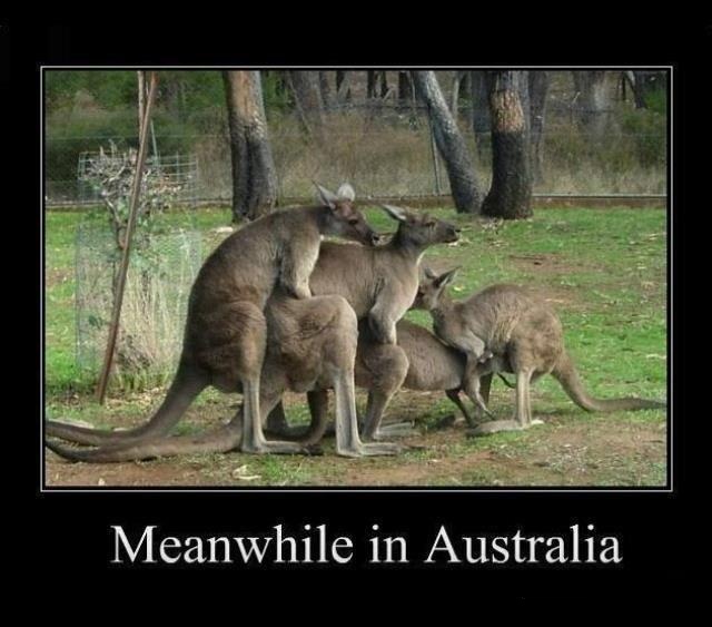 Now that's what I call going down under