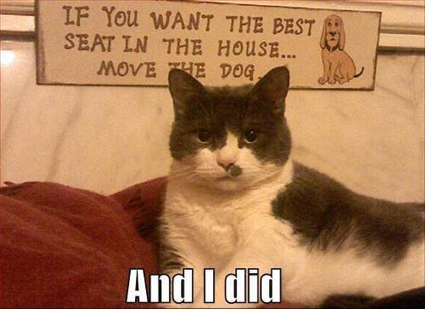 The best seat