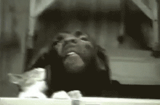 That dog looks like he's almost climaxing