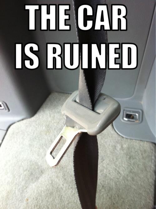 Should have gotten a motorcycle.