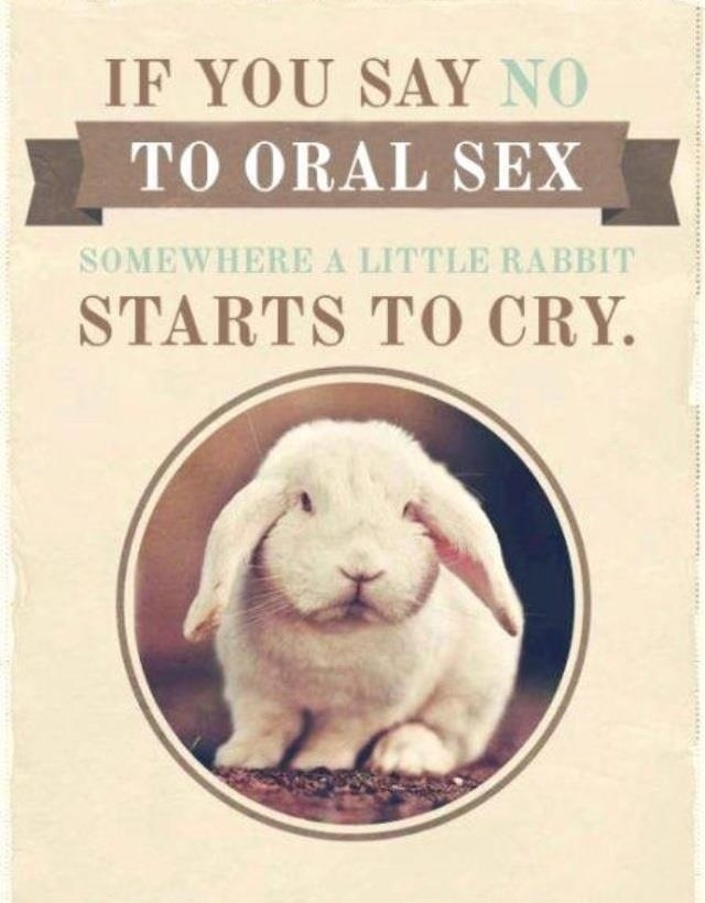 Do it for the bunnies!