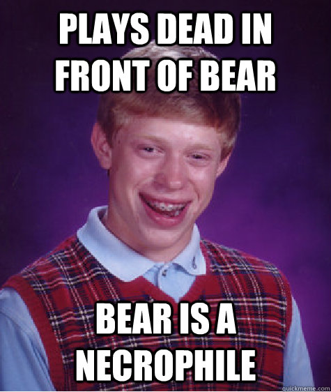 God damn bears