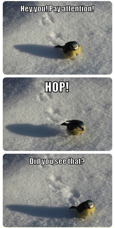 Hop!