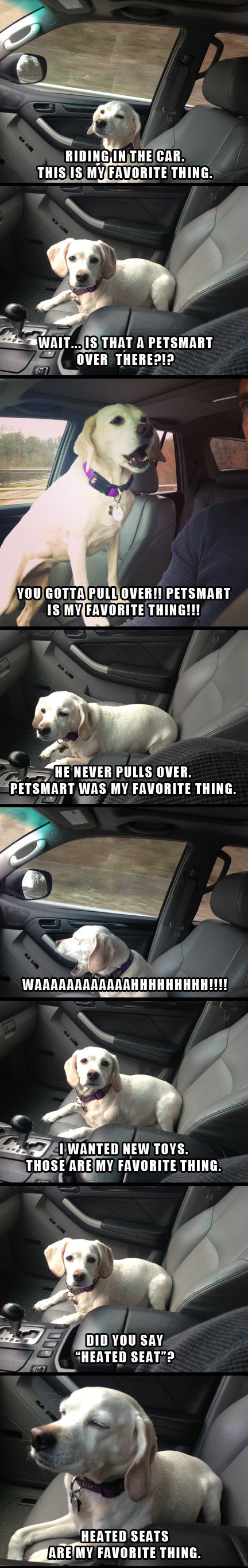 My favorite thing.