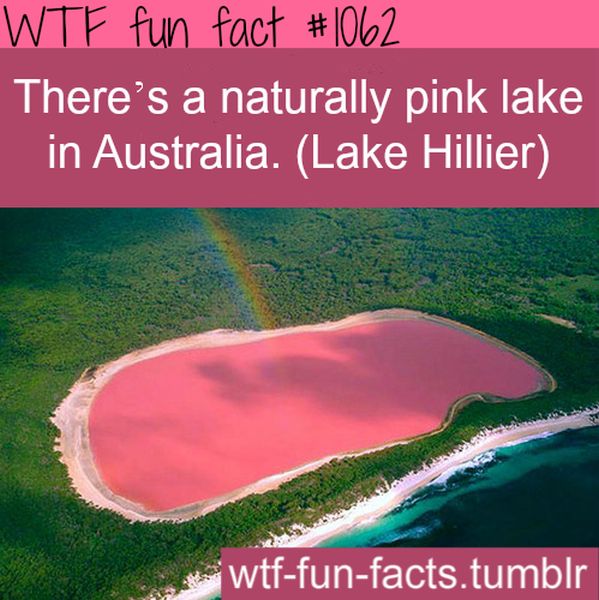 Imagine swimming in that...