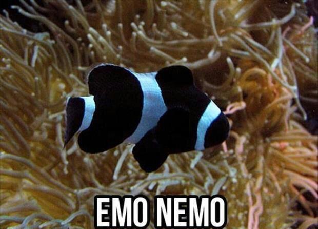 "I don't care if you find me!"