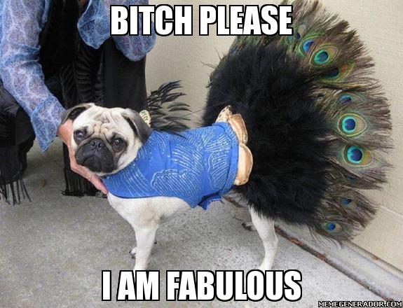 Don't judge the pug