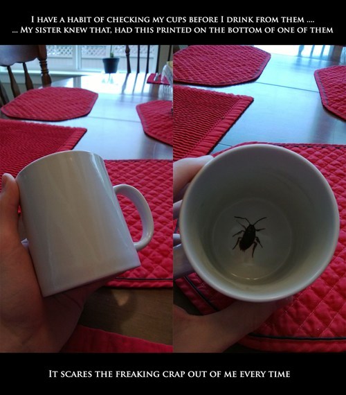 This is just evil x.x