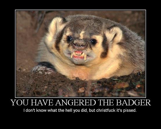 This badger is about to rape you