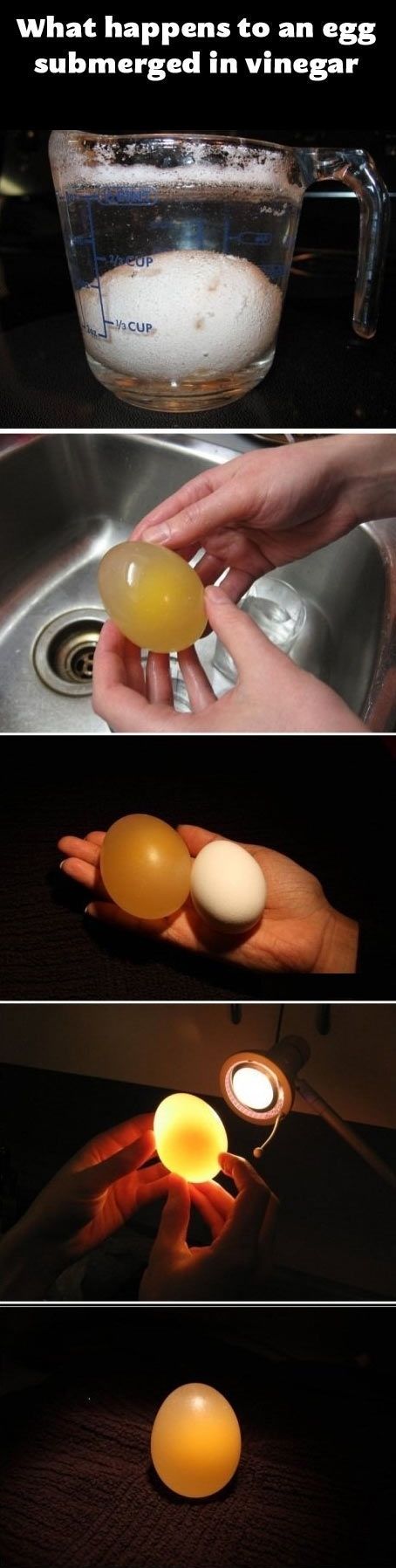 Household Science Project