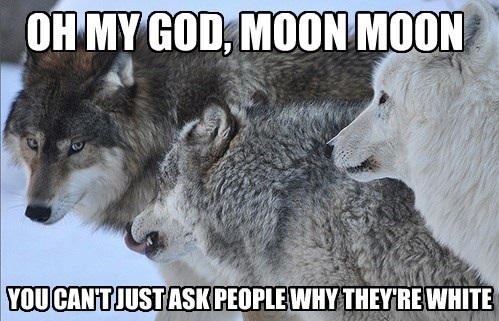 Dammit! Moon Moon!