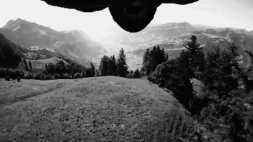I want to go wingsuit flying too