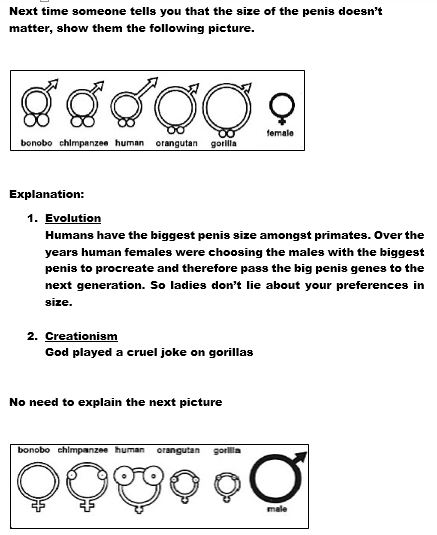 Yay! I have bigger penis than a gorilla!