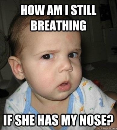Sniff sniff