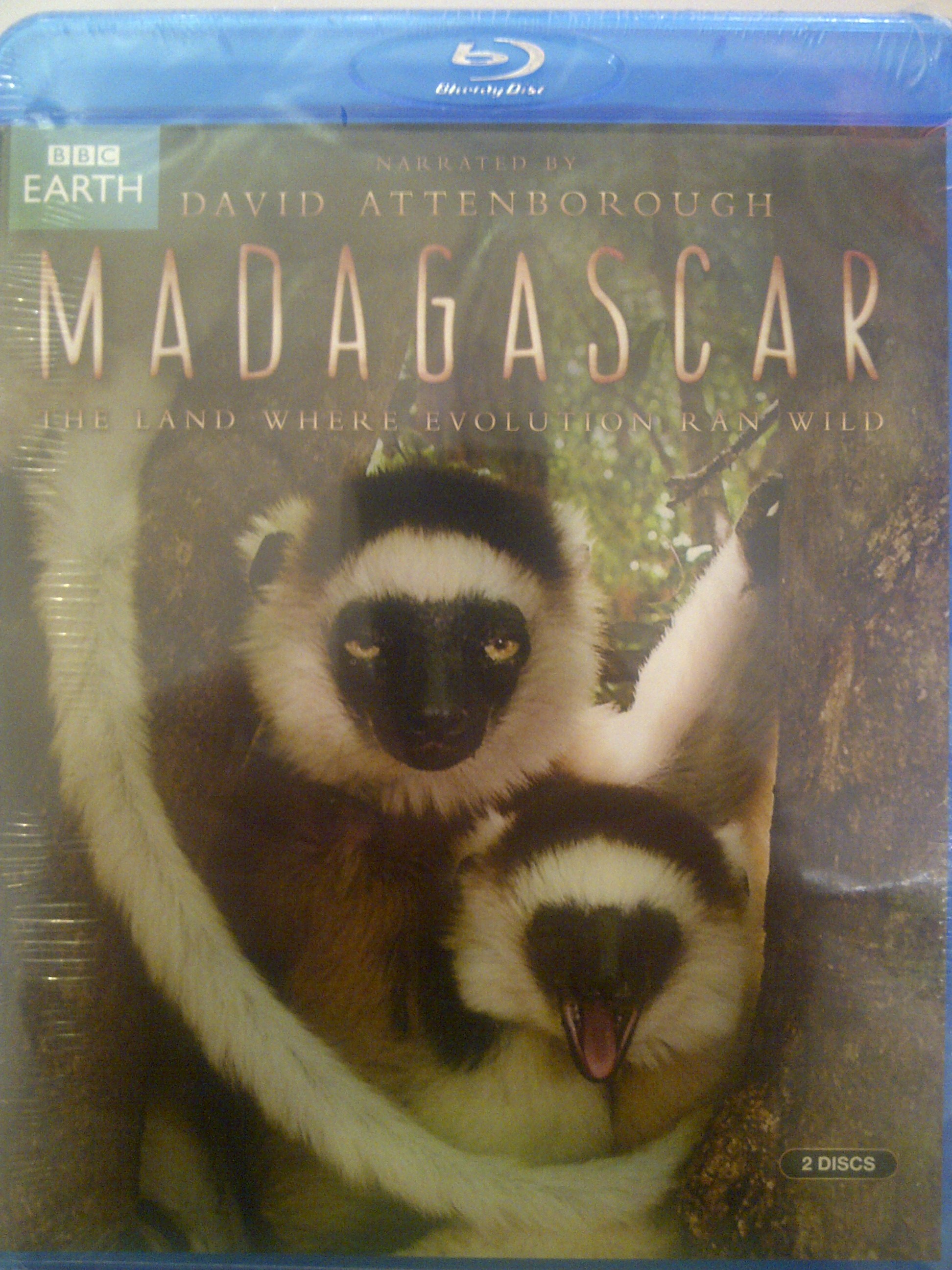 So my Gran bought me Madagascar.