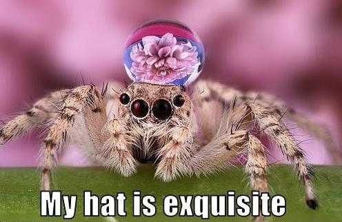 Water droplet hats are the newest trend