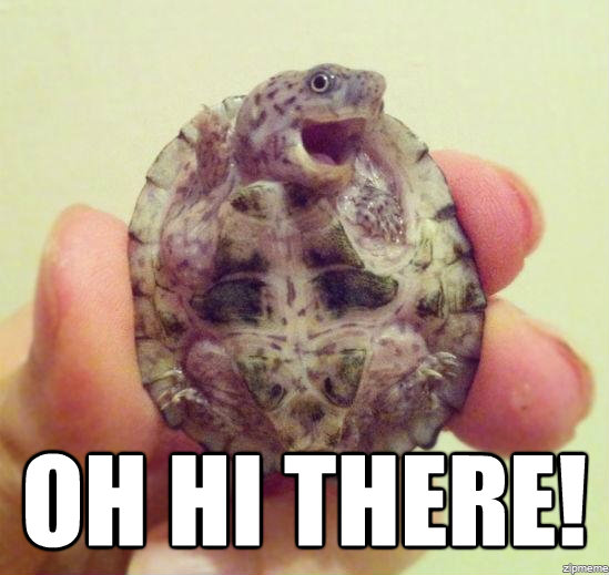 When i see a hot girl