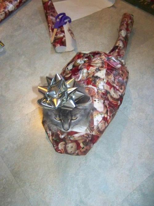 I bet it's a book.