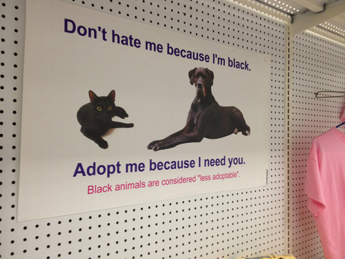 Wut?