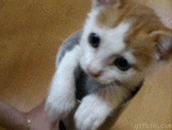 U can't touch this