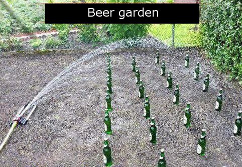Just my beer garden. I hope they will grow bigger!