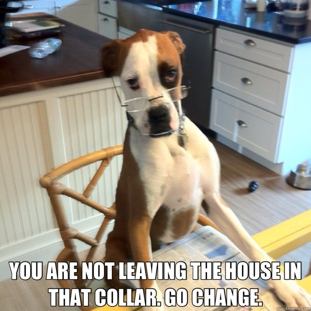 Dads can be so mean.