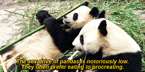 Lazy pandas