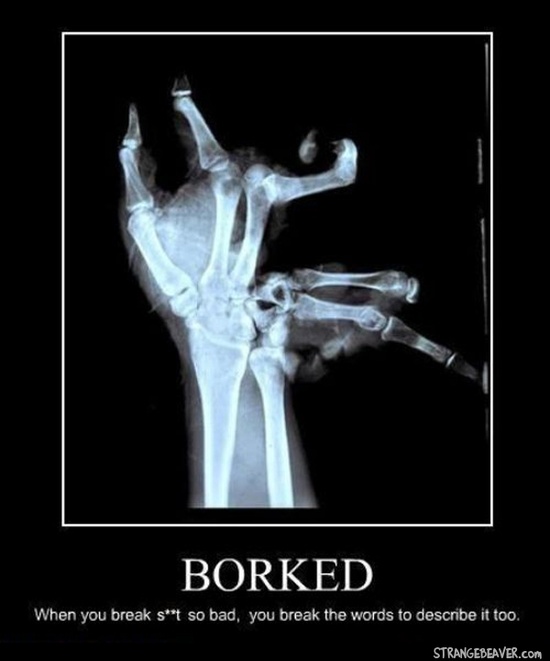 Borked